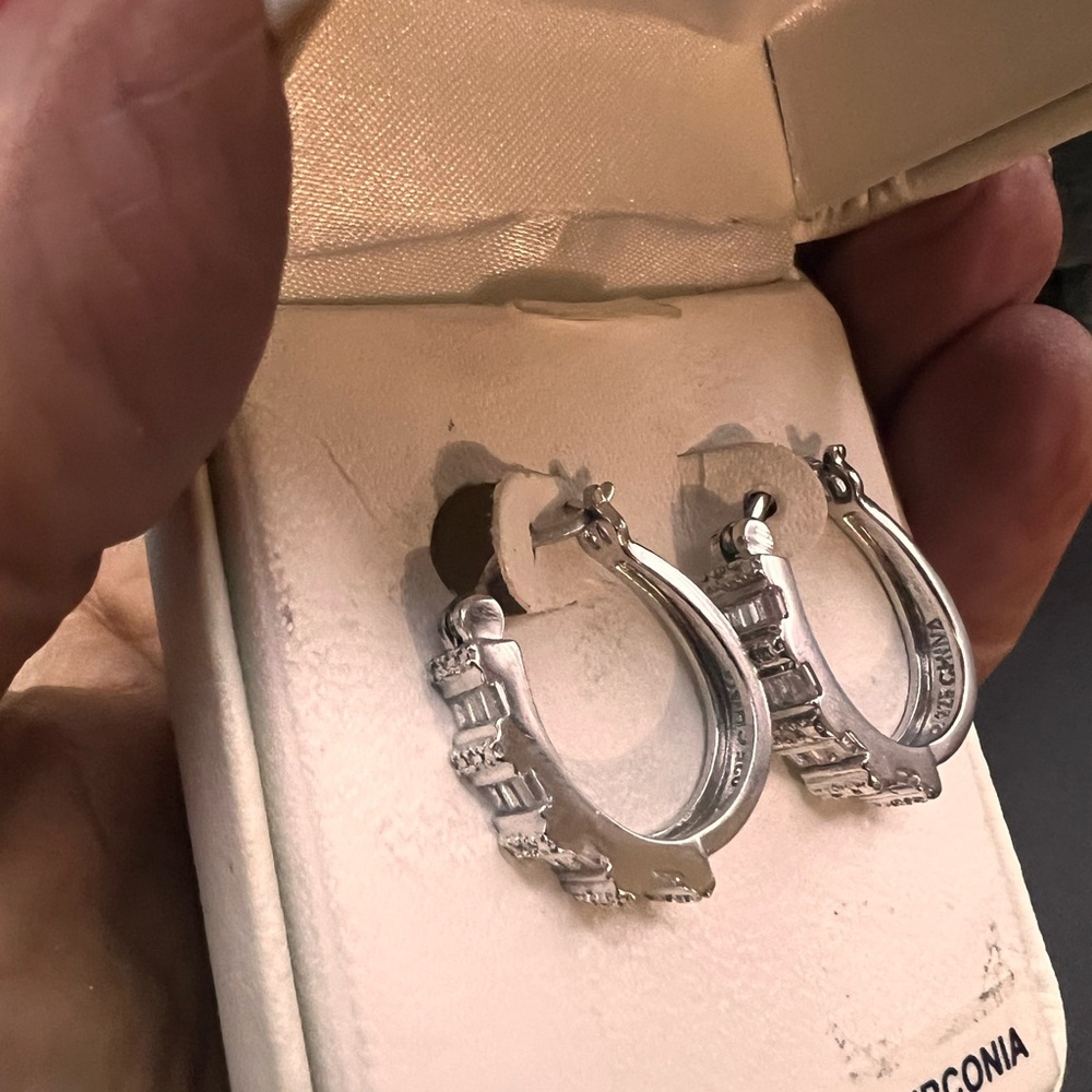 Elegant Silver Hoop Earrings